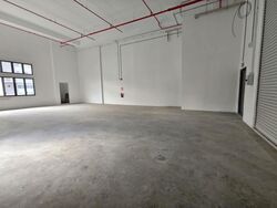Ct Foodnex (D25), Factory #561533641